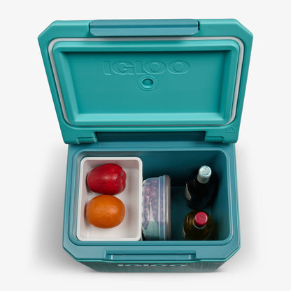 Tag Along Too Spinner Cooler