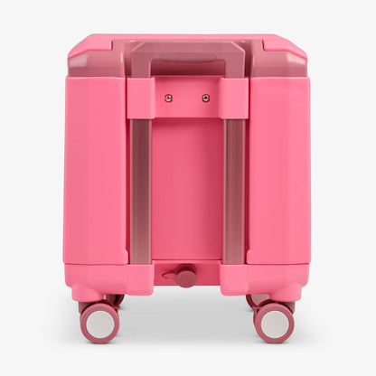Tag Along Too Spinner Cooler
