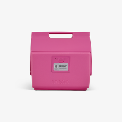 KoolTunes™ Playmate 14 Qt Cooler