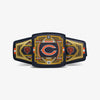 Bears